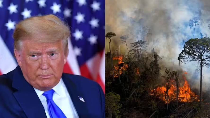 Trump suspende parceria entre EUA e Brasil para combate a incêndios florestais