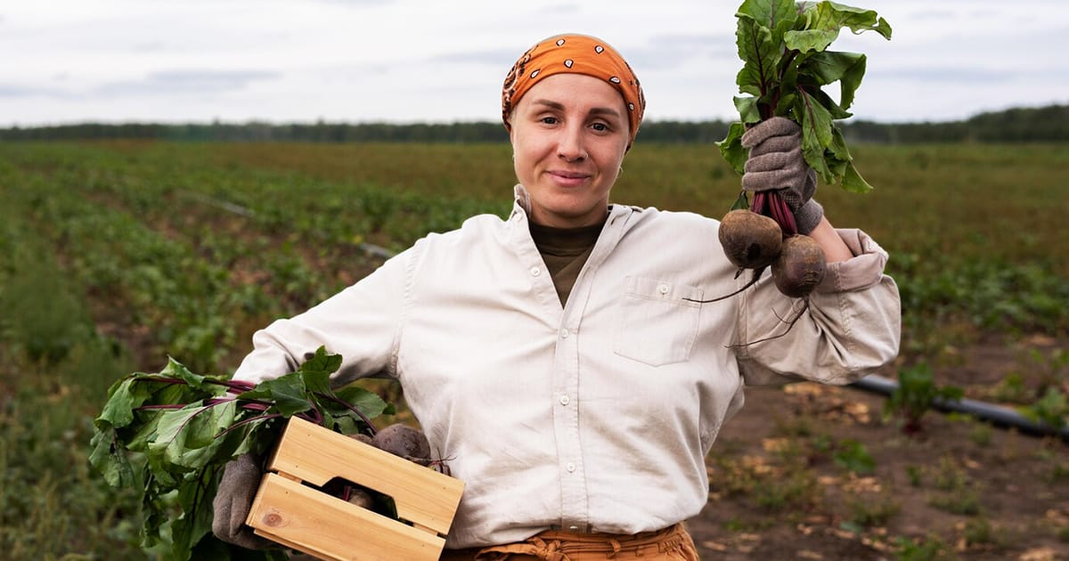 O Impacto das Mudanças Climáticas na Agricultura Brasileira